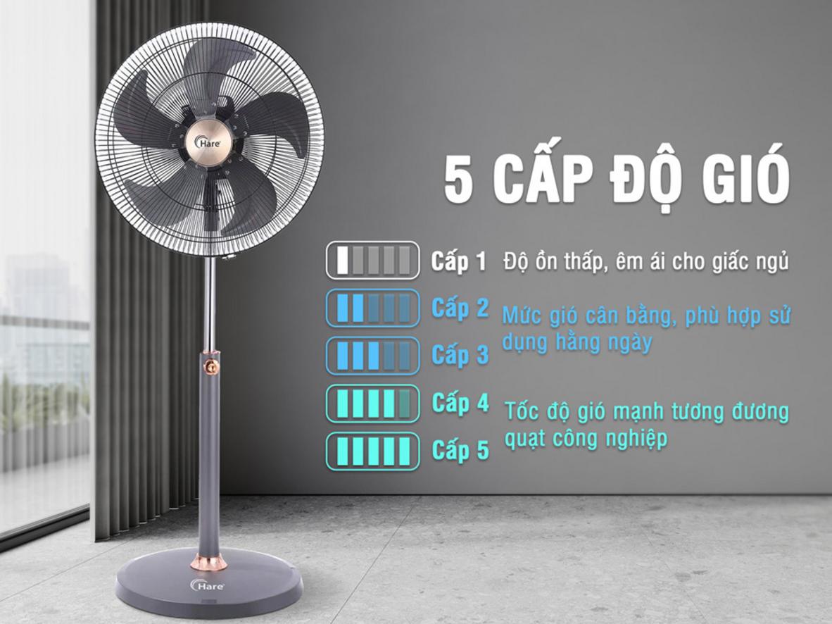 Quyền lợi khách hàng tại Siêu Thị Đại Việt