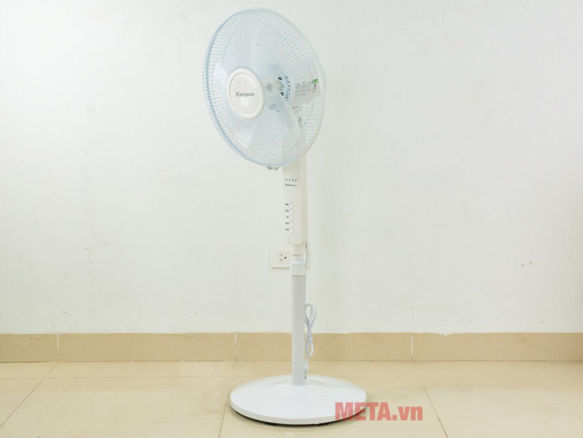 Động cơ AC/bạc đạn cho cảm giác bền bỉ và ổn định
