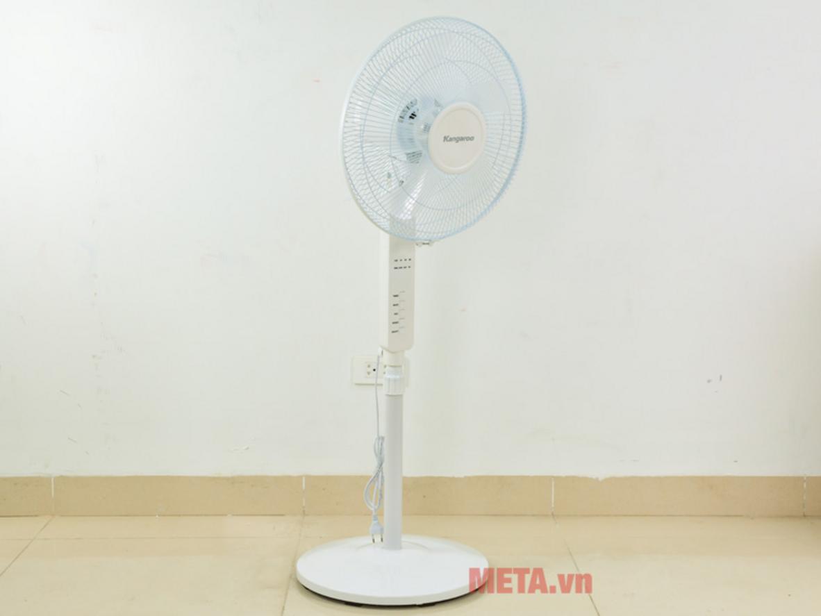 Quyền lợi khách hàng tại Siêu Thị Đại Việt