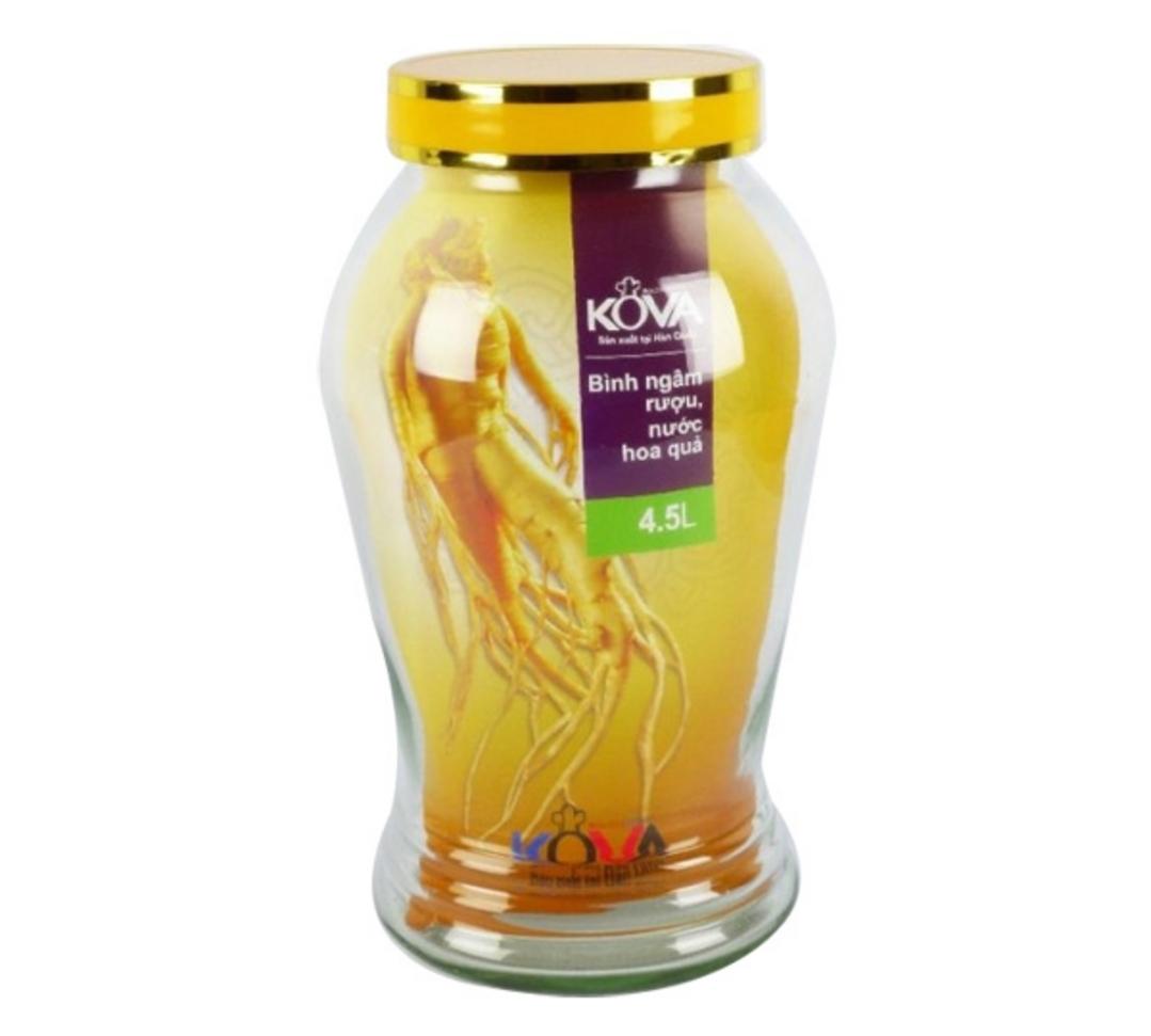 Tổng quan Bình ngâm rượu, nước hoa quả Kova 4,5 lít BNR4.5