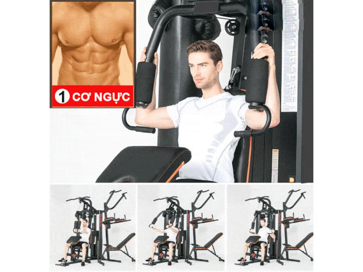 Giàn tạ đa năng HQ-808I gọn không gian, tập đa năng cho gia đình.