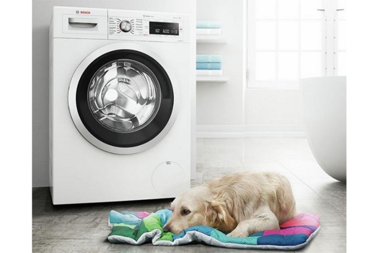 Bosch WAJ20180SG Series 4: giặt êm, gọn nhà, phù hợp gia đình Việt.