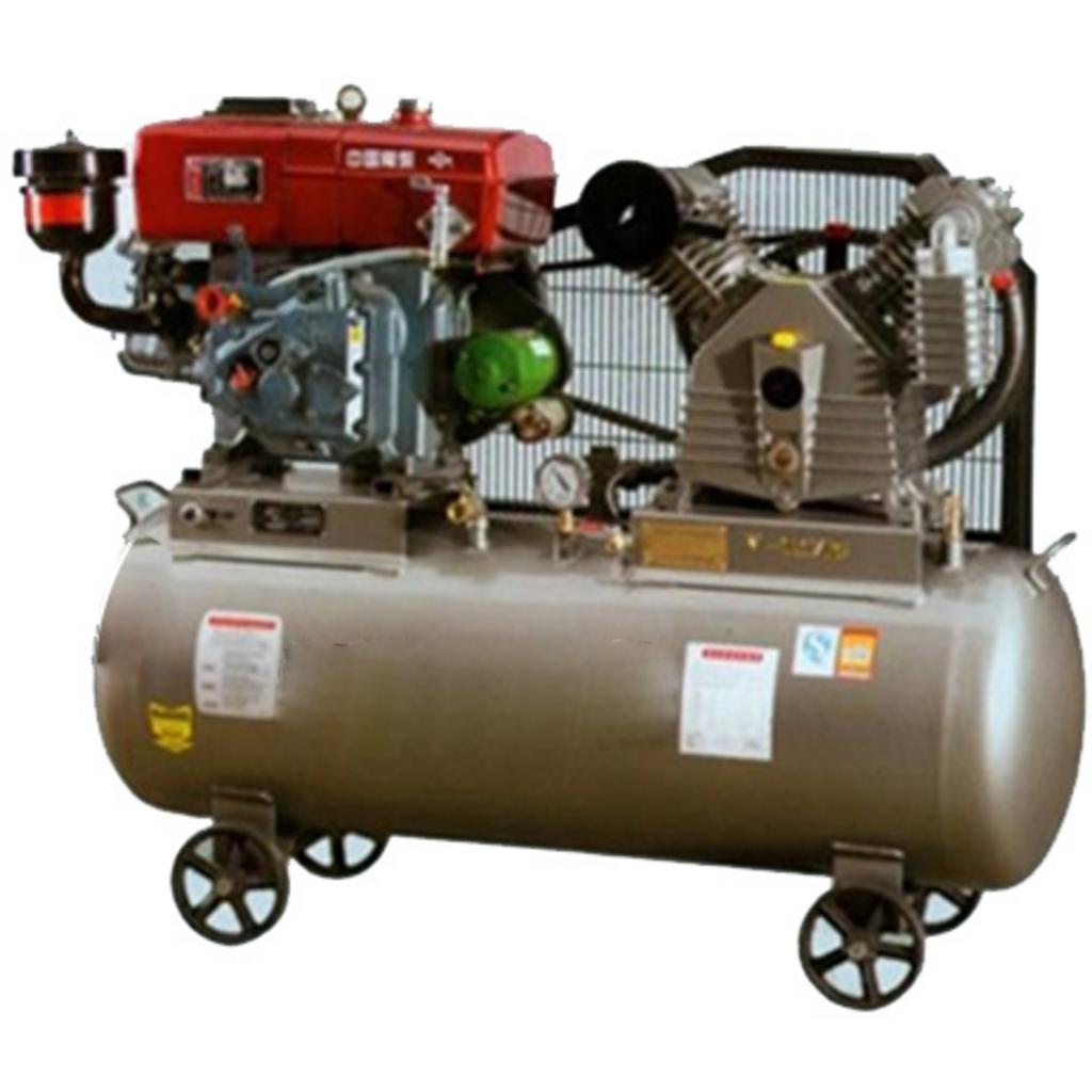 Tổng quan Máy nén khí chạy bằng dầu diesel Pegasus TM-V-1.05/12.5