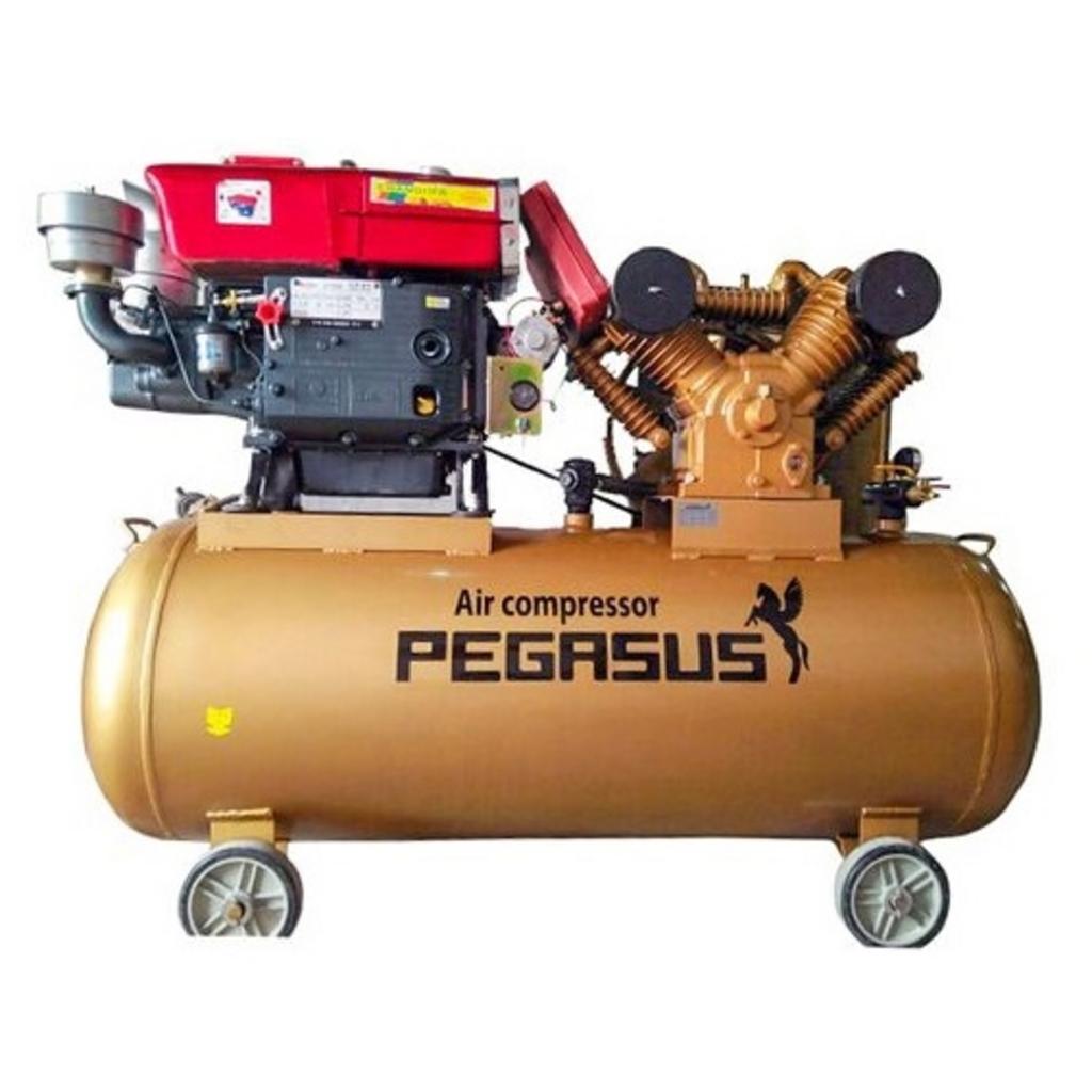 Tổng quan Máy nén khí chạy bằng dầu Diesel Pegasus TM-W-1.6/8-500L