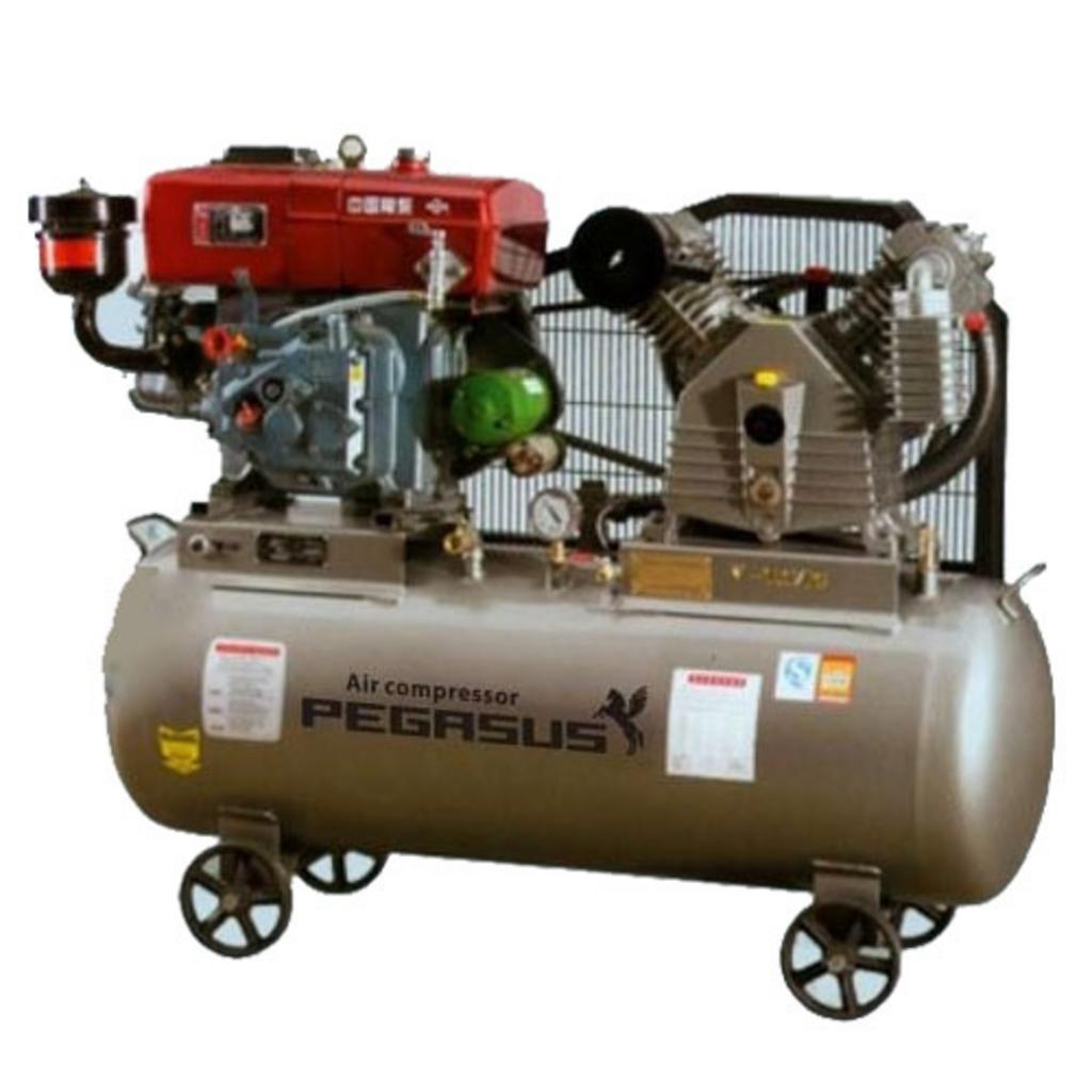 Tổng quan Máy nén khí chạy dầu diesel Pegasus TM-W-1.0/8