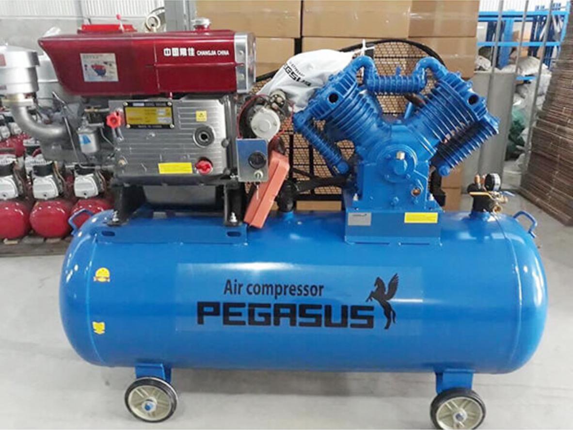 Tổng quan Máy nén khí chạy dầu Diesel Pegasus TM-W-1.6/12.5-500L