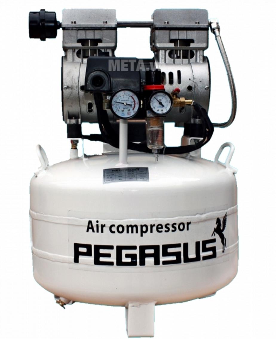 Tổng quan Máy nén khí không dầu Pegasus TM-OF550