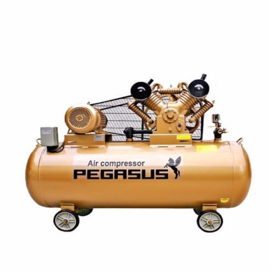 Tổng quan Máy nén khí Pegasus TM-V-0.12/8 70 lít