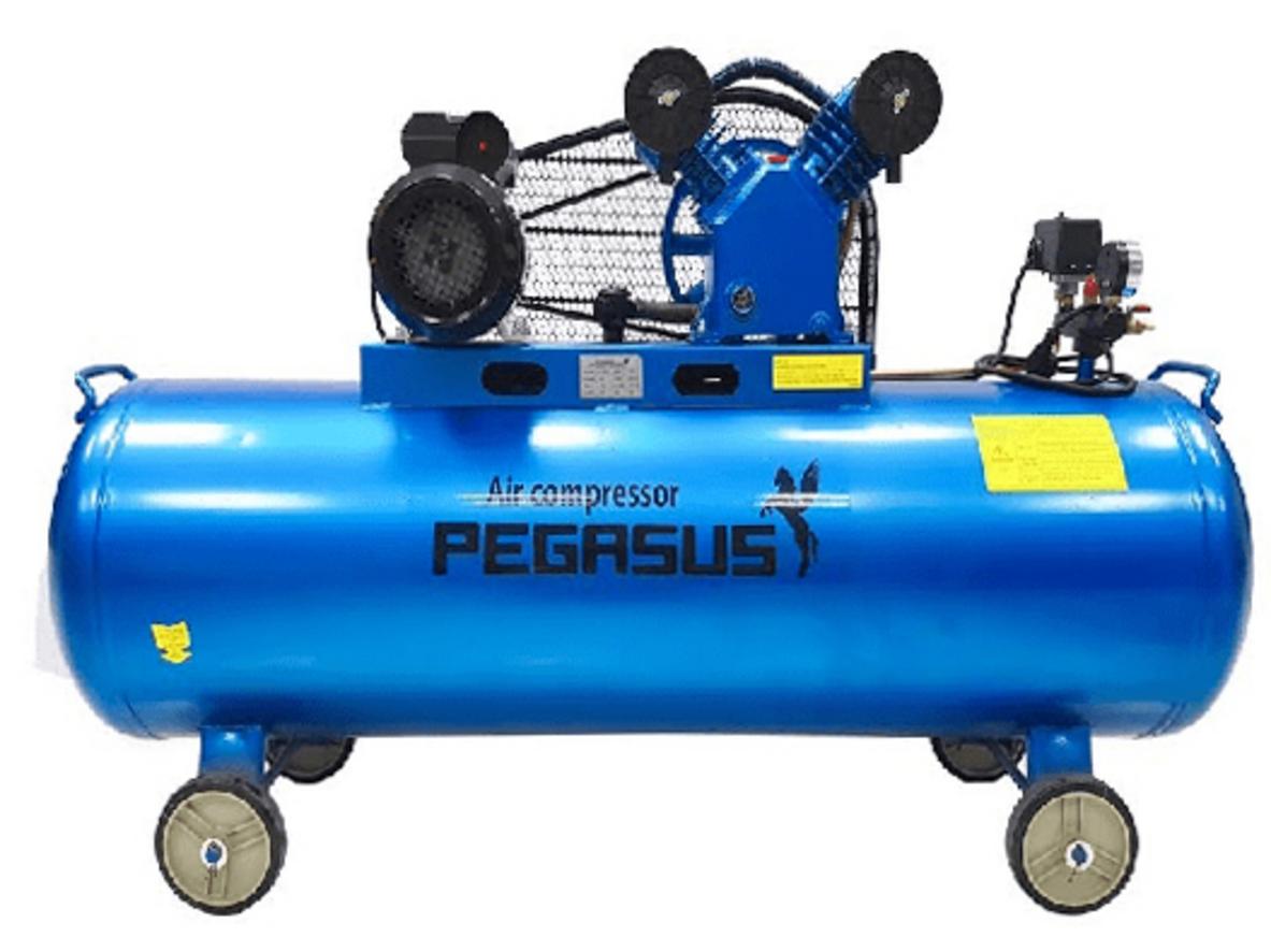 Tổng quan Máy nén khí Pegasus TM-V-0.25/12.5 (3HP, 380V)