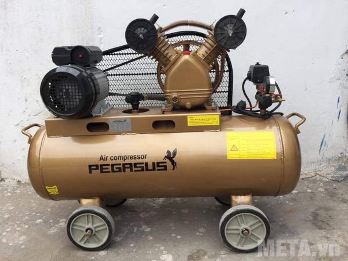 Tổng quan Máy nén khí Pegasus TM-V-0.25/8 (380V)