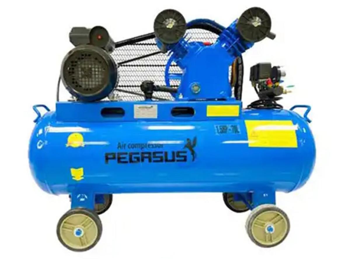 Tổng quan Máy nén khí Pegasus TM-V-0.25/8 (3HP - 220V)