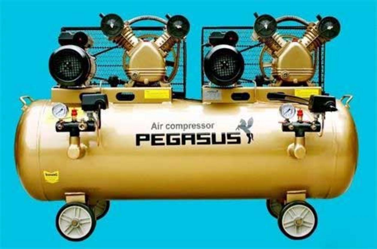 Tổng quan Máy nén khí Pegasus TM-V-0.25/8x2 - 230 lít