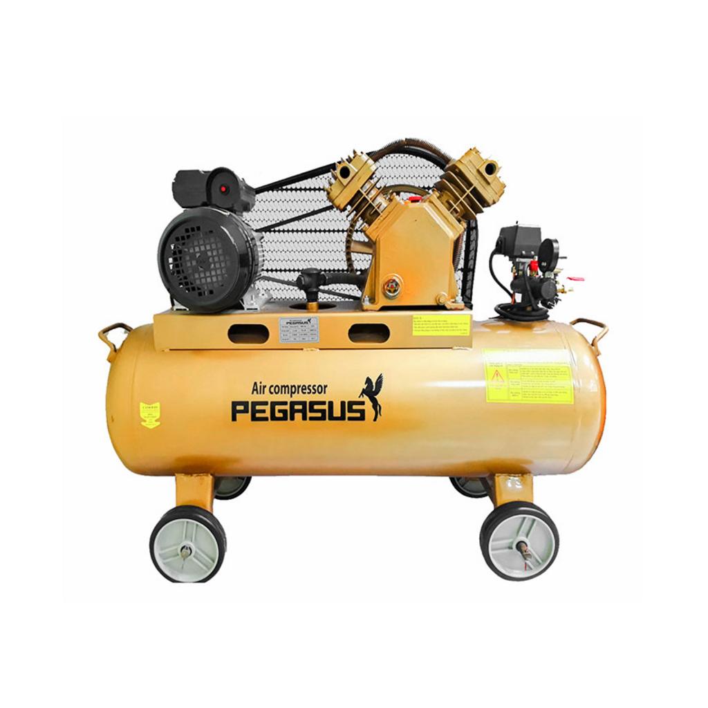 Tổng quan Máy nén khí Pegasus TM-V-0.17/8 (2HP)