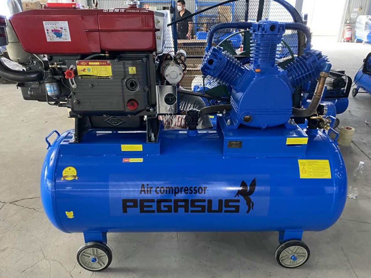 Tổng quan Máy nén khí Pegasus TM-W-2.0/12.5