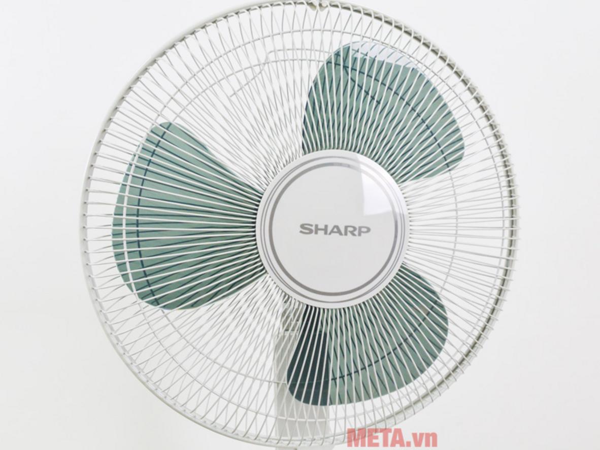 Quyền lợi khách hàng tại Siêu Thị Đại Việt