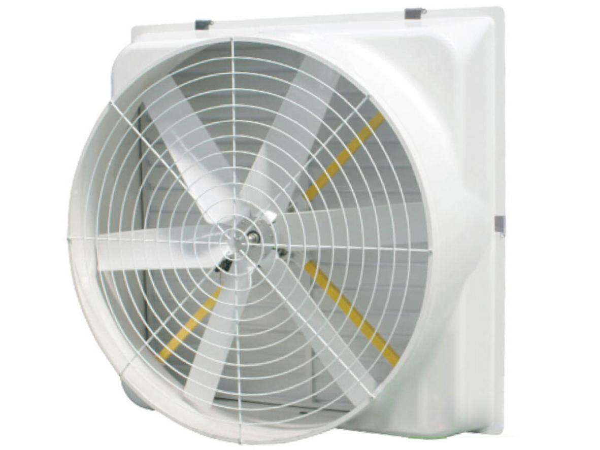 Quạt thông gió công nghiệp Composite iFan 146A cho nhà xưởng, trang trại và khu sản xuất cần lưu lượng gió lớn.