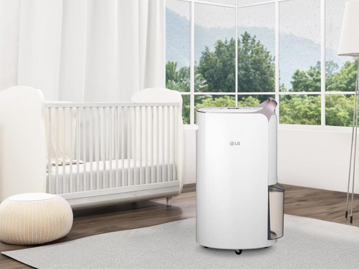 Máy hút ẩm LG Dual Inverter MD19GQGE0 phù hợp không gian dưới 81m2.