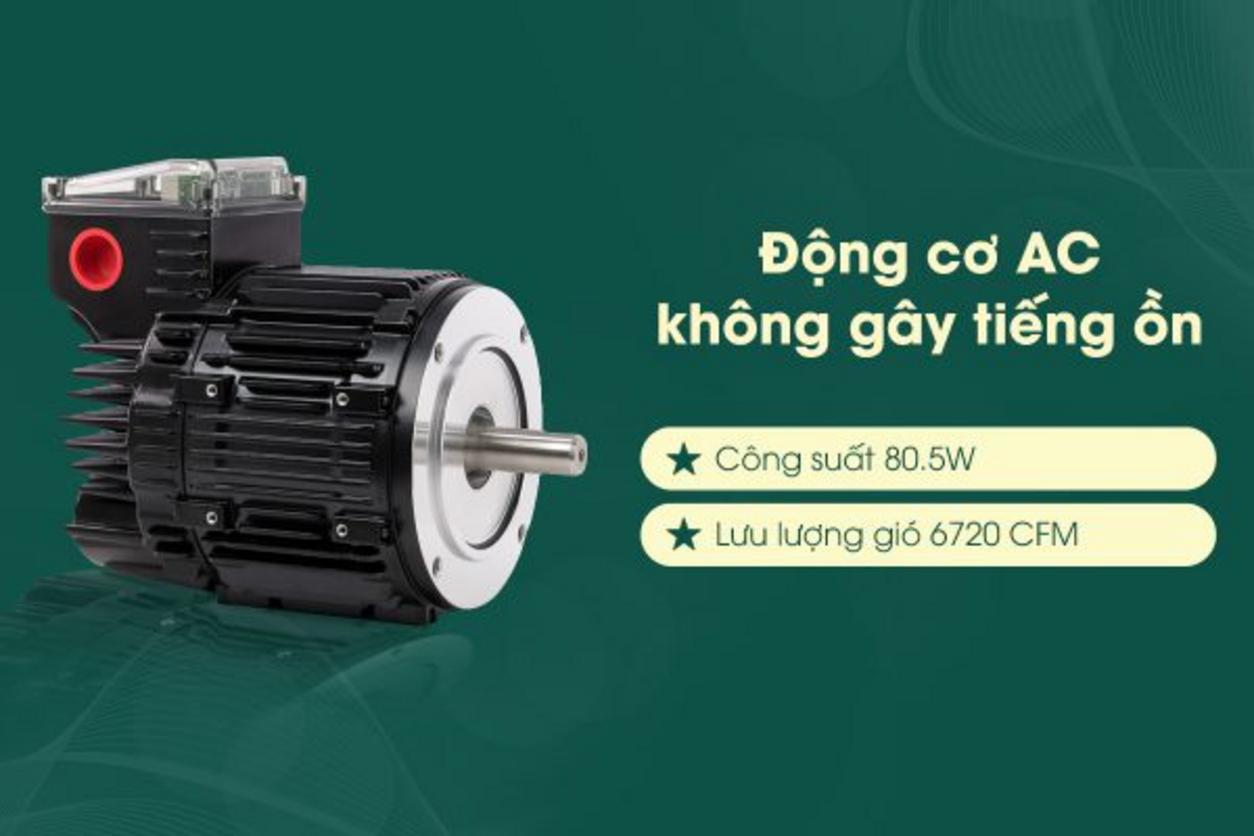 Cánh gỗ Plywood mang lại vẻ đẹp cao cấp và độ bền ổn định cho quạt.
