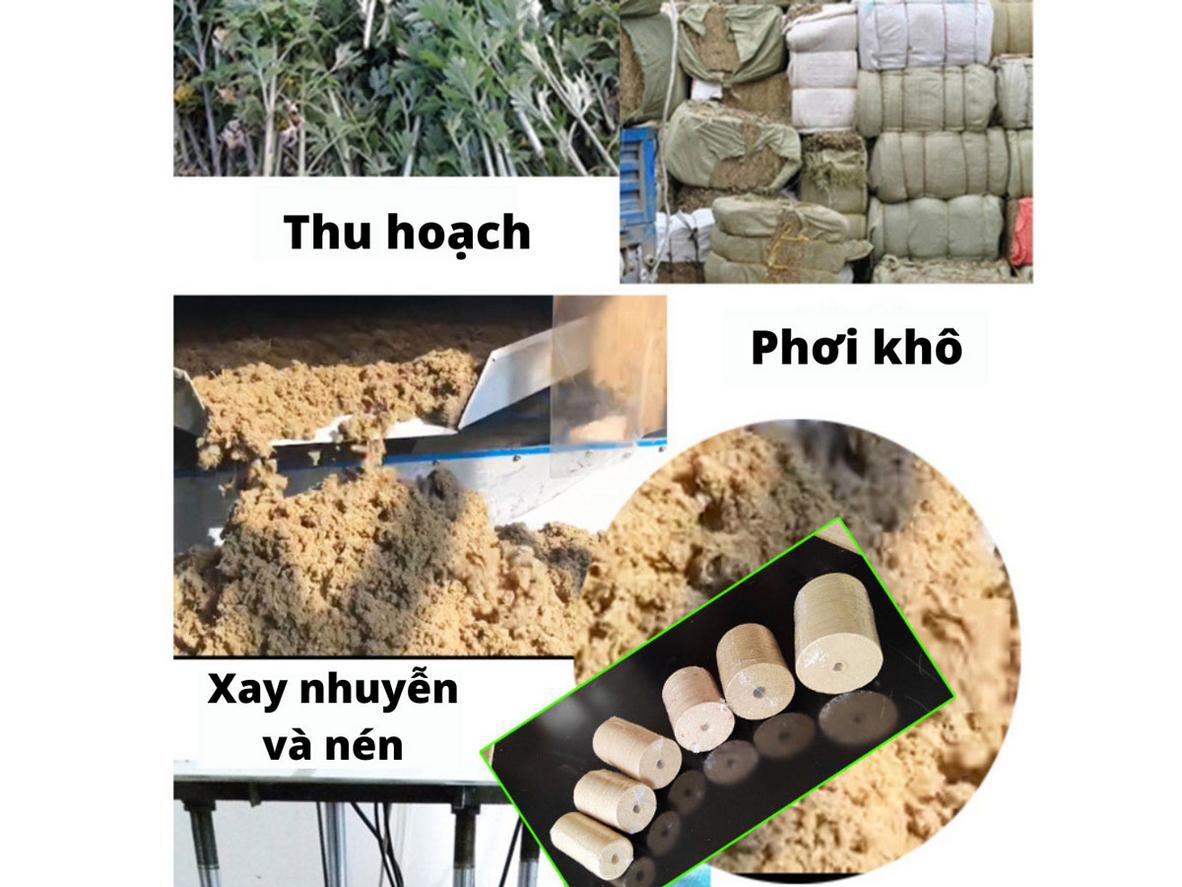 Viên nén ngải cứu khô Darlev 3cm x 0.5cm, phù hợp bộ phận hơ ngải cứu DLS301.